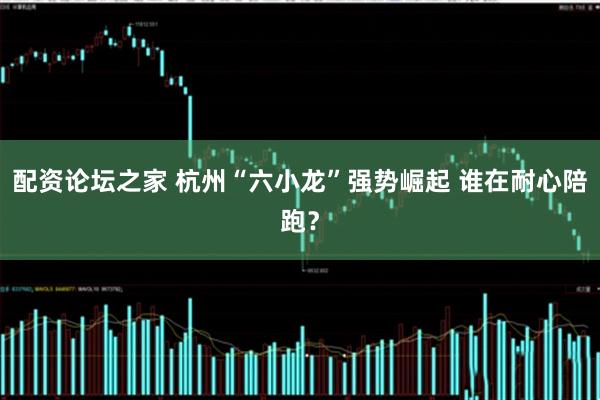 配资论坛之家 杭州“六小龙”强势崛起 谁在耐心陪跑？