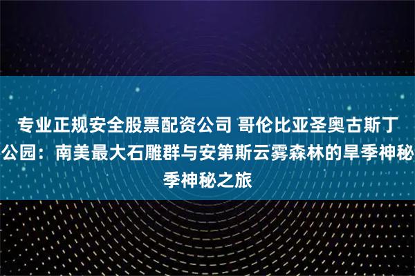 专业正规安全股票配资公司 哥伦比亚圣奥古斯丁考古公园：南美最大石雕群与安第斯云雾森林的旱季神秘之旅