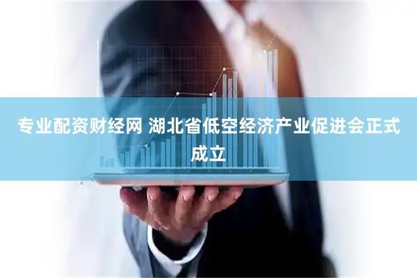 专业配资财经网 湖北省低空经济产业促进会正式成立