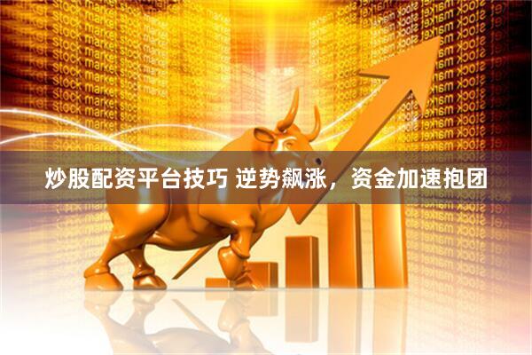炒股配资平台技巧 逆势飙涨，资金加速抱团